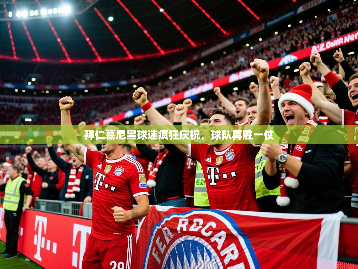 2025百家乐玩法拜仁慕尼黑球迷疯狂庆祝,球队再胜一仗 第2张