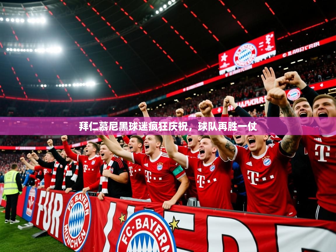 2025百家乐玩法拜仁慕尼黑球迷疯狂庆祝,球队再胜一仗 第3张