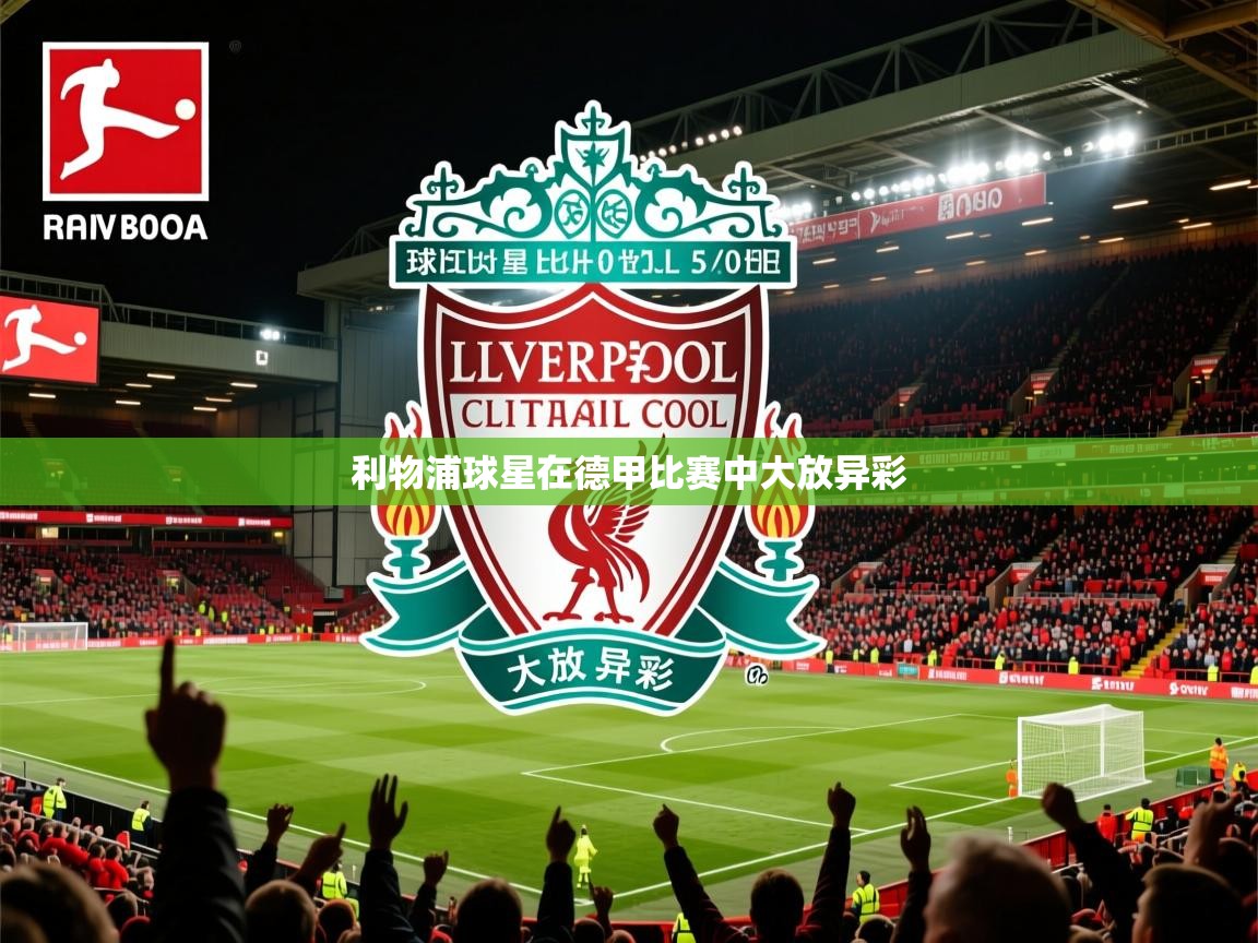 2025百家乐网站利物浦球星在德甲比赛中大放异彩 第3张